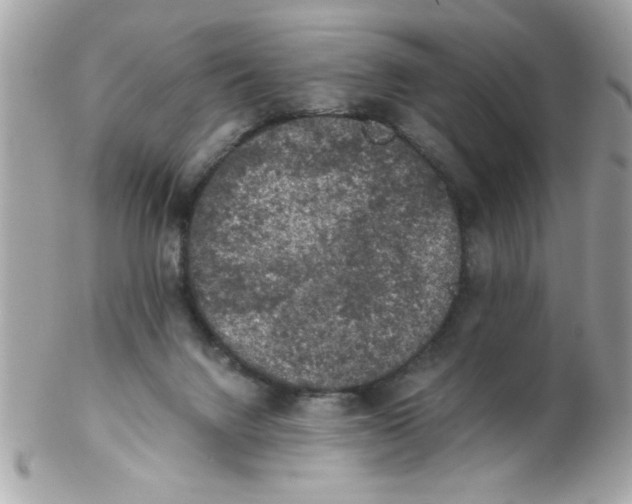 X0000102300072200808152028