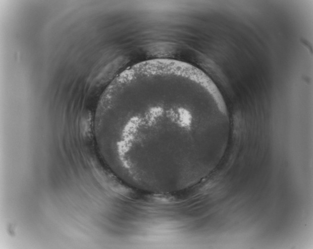 X0000102300073200808152028
