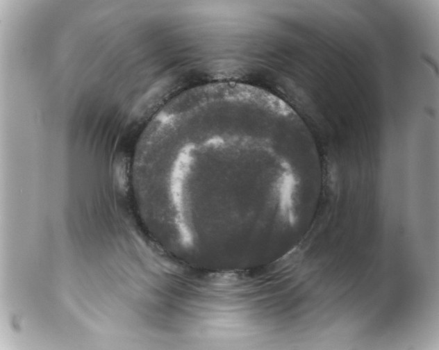 X0000102300074200808152028