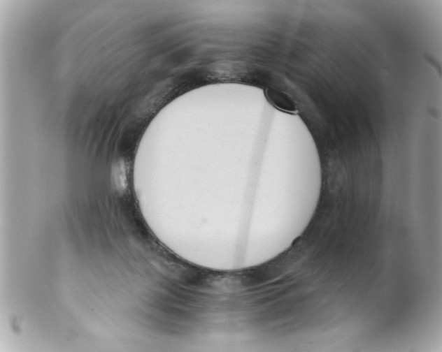 X0000102300075200808152028