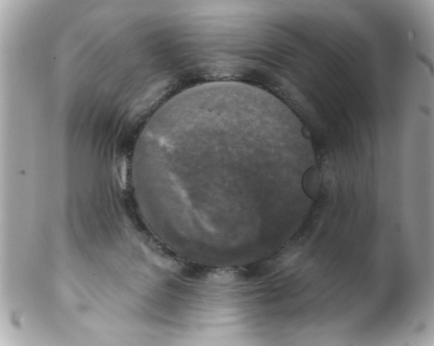 X0000102300076200808152028