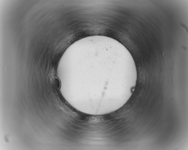 X0000102300077200808152028