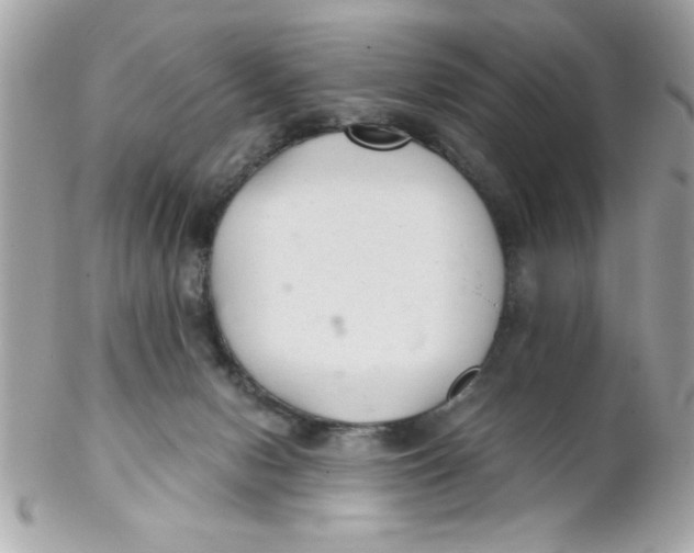 X0000102300078200808152028