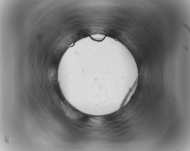 X0000102300079200808152028