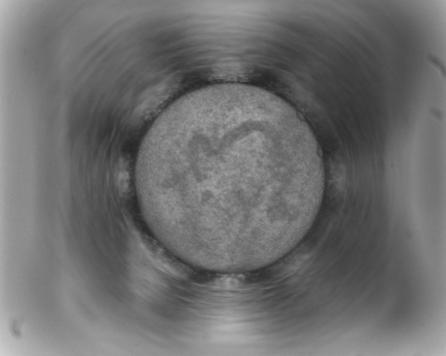 X0000102300080200808152028