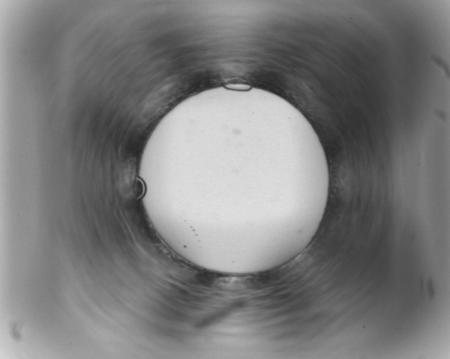 X0000102300082200808152028