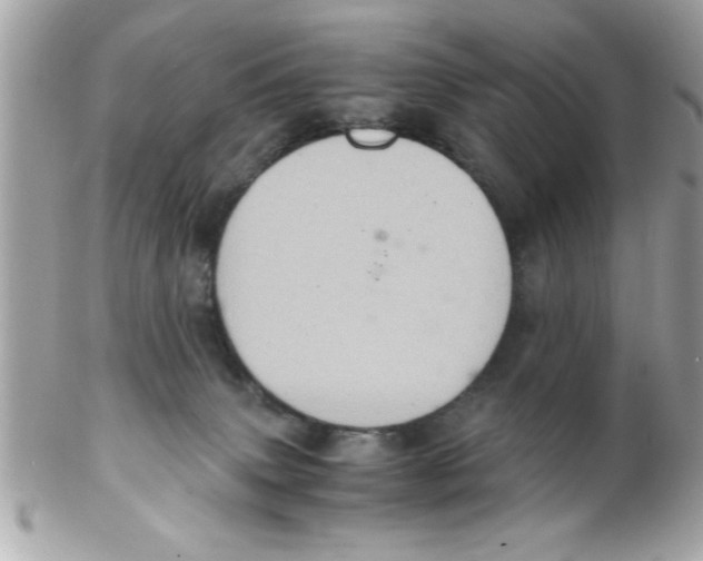 X0000102300083200808152028