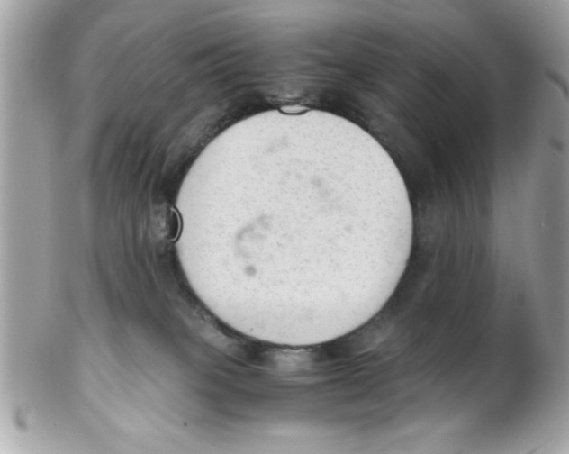 X0000102300085200808152028