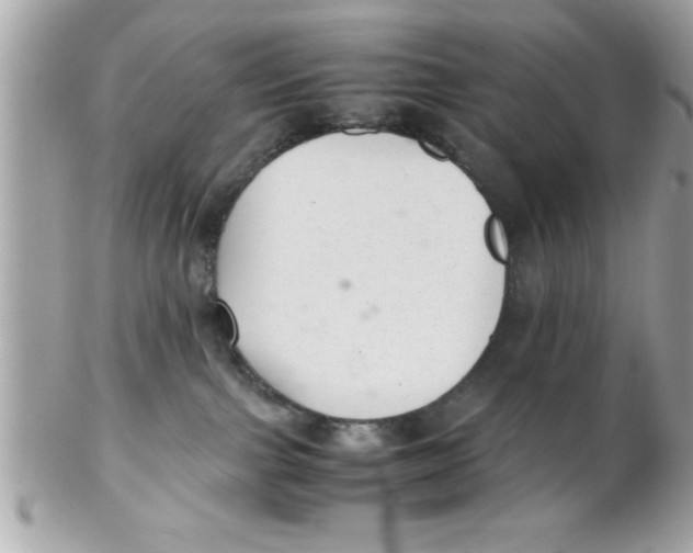 X0000102300091200808152028