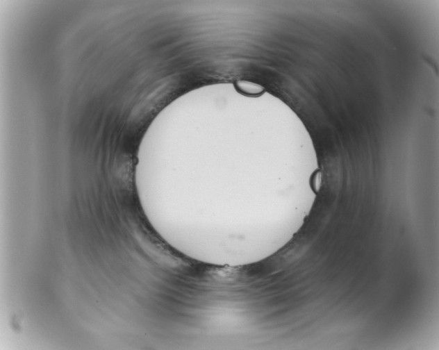 X0000102300092200808152028