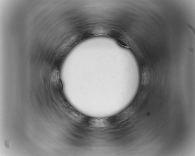X0000102300093200808152028