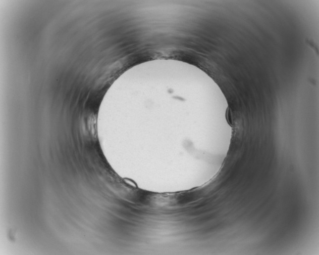 X0000102300094200808152028