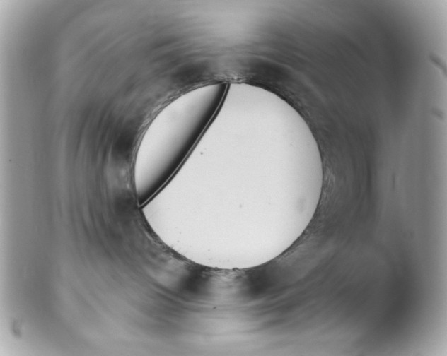 X0000102300096200808152028