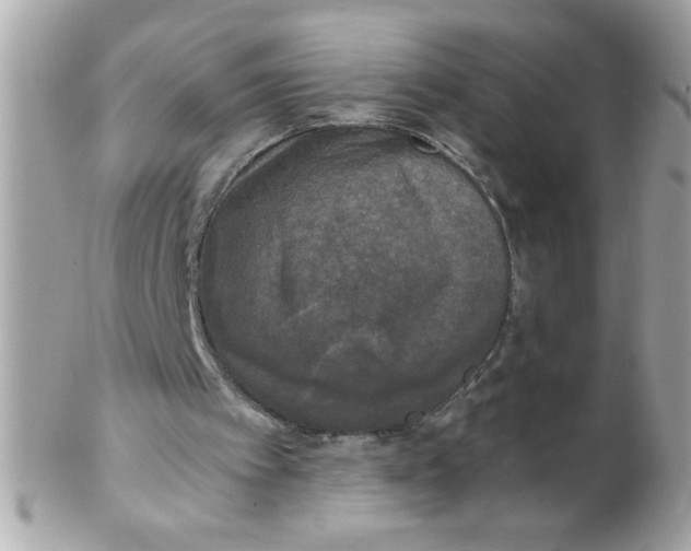 X0000102300097200808152027