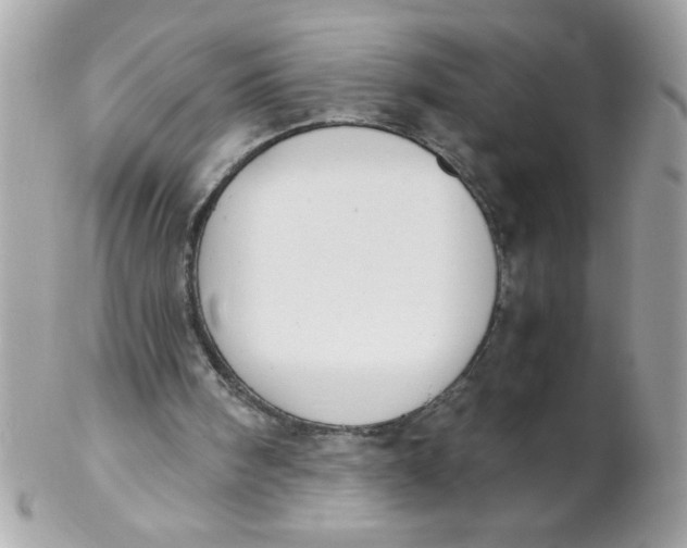 X0000102300098200808152027
