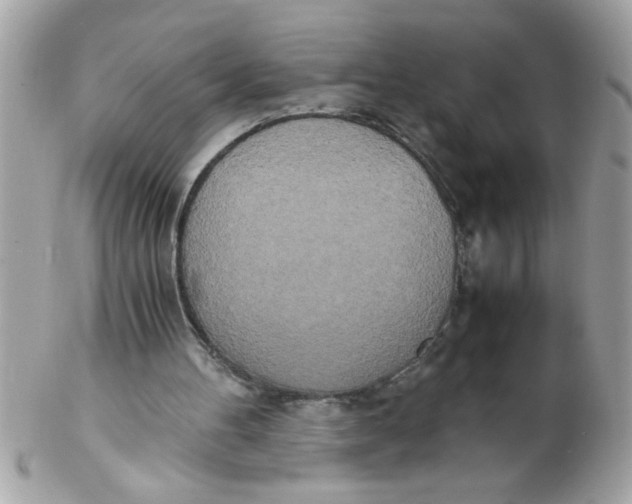X0000102300100200808152027