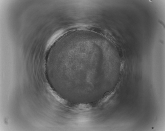 X0000102300101200808152027