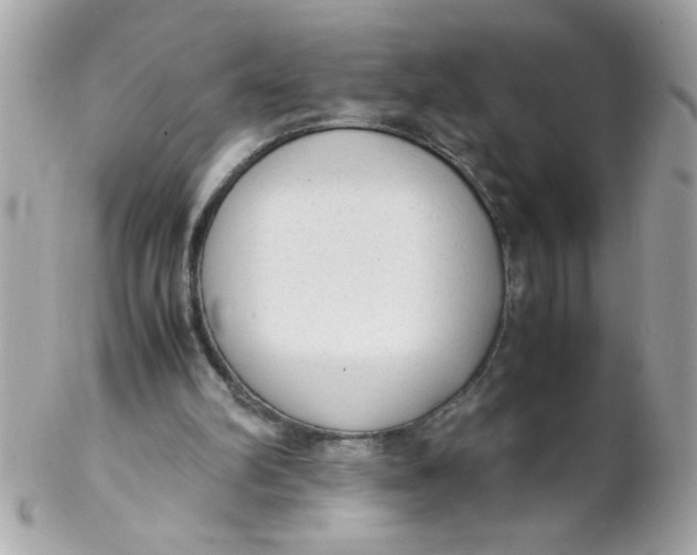X0000102300102200808152027