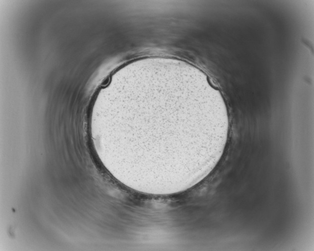 X0000102300103200808152027