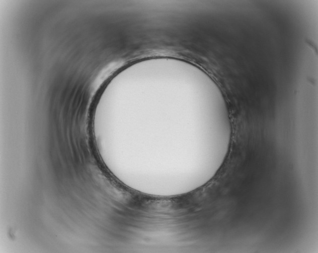X0000102300104200808152027