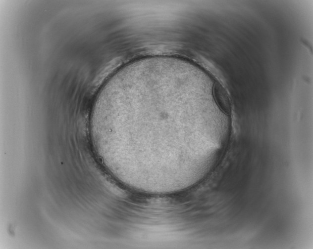 X0000102300105200808152027