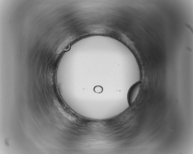 X0000102300106200808152027