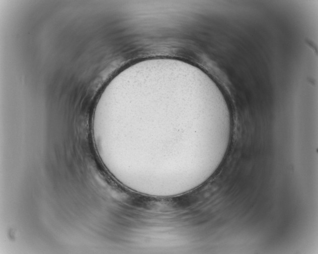 X0000102300107200808152027
