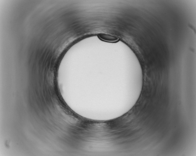 X0000102300108200808152027