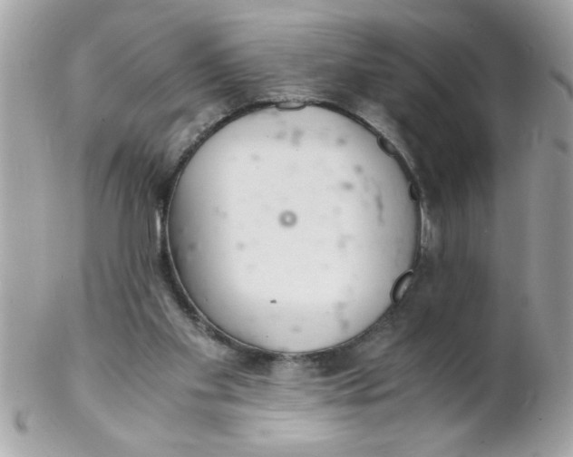 X0000102300109200808152027