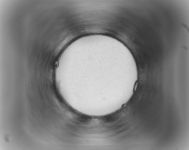 X0000102300111200808152027