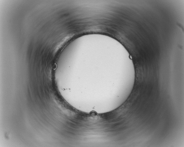 X0000102300112200808152027