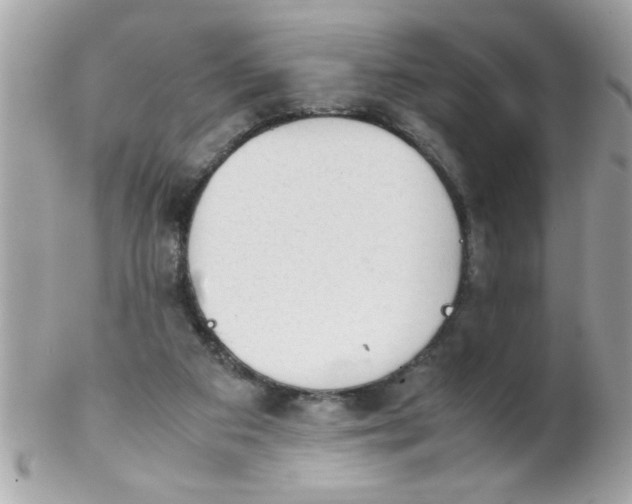X0000102300113200808152027