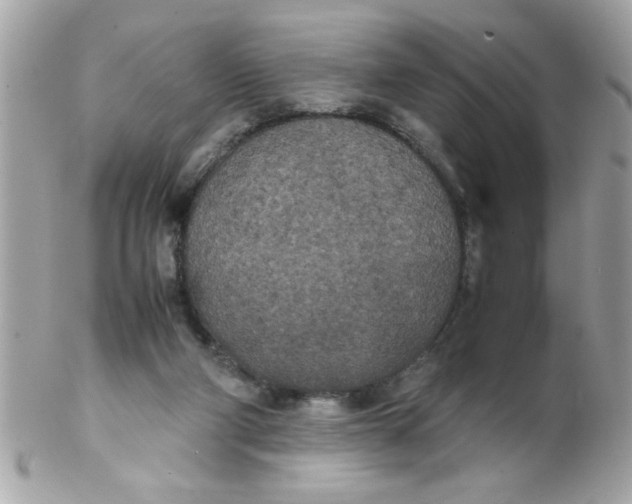X0000102300114200808152027