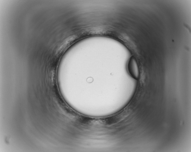 X0000102300115200808152027