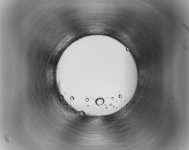 X0000102300116200808152027