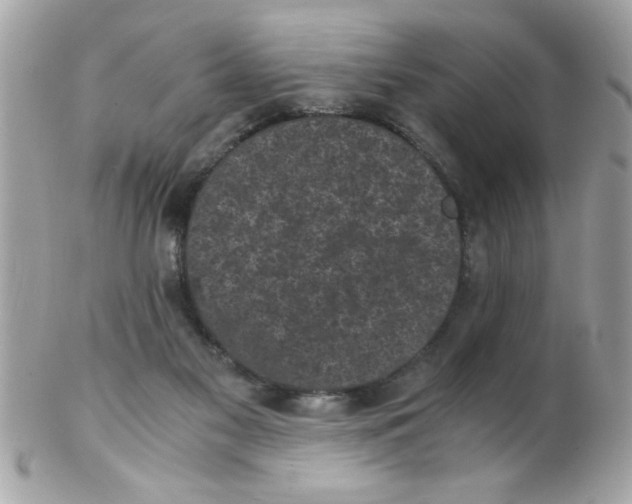 X0000102300117200808152027
