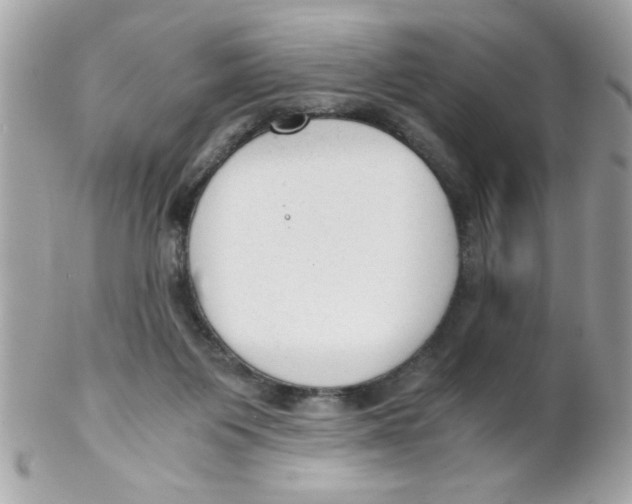 X0000102300119200808152027