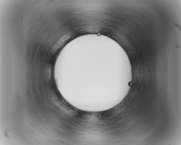 X0000102300120200808152027