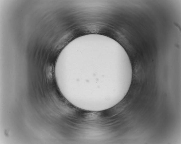 X0000102300122200808152027