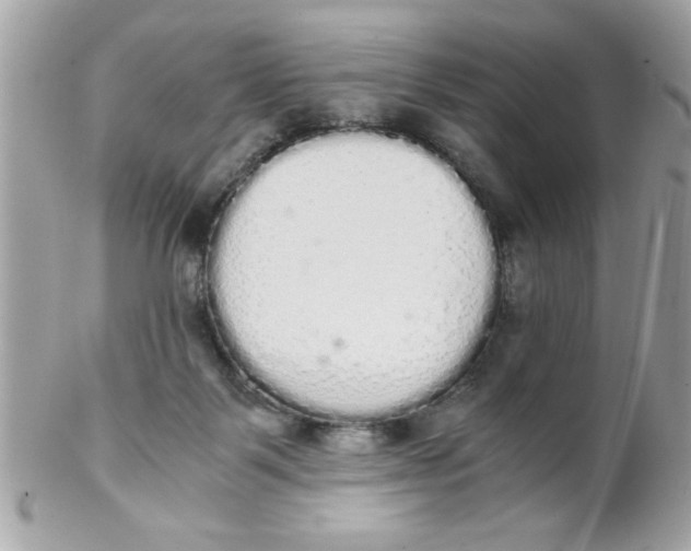 X0000102300123200808152027