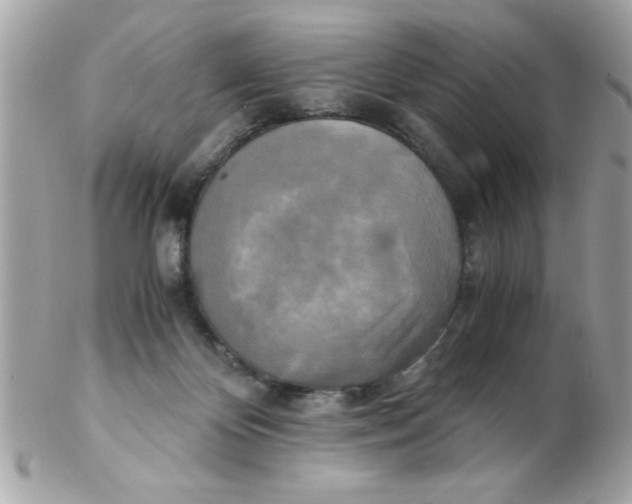 X0000102300124200808152027