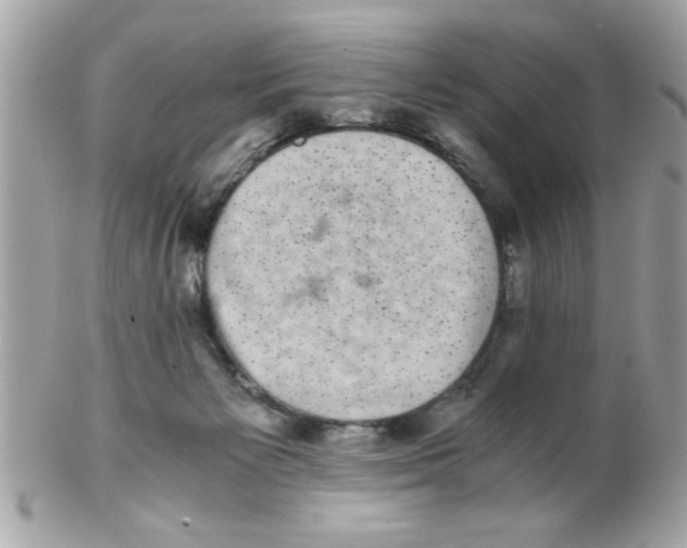 X0000102300125200808152027