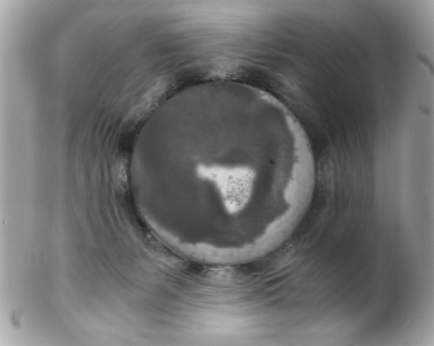 X0000102300127200808152027