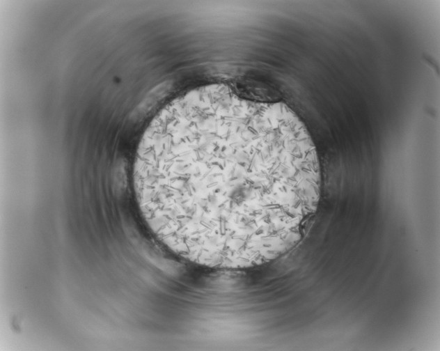 X0000102300128200808152027