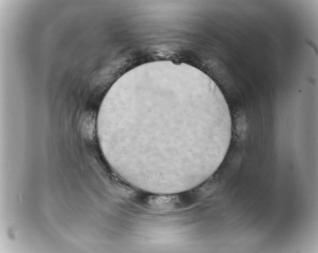 X0000102300129200808152027