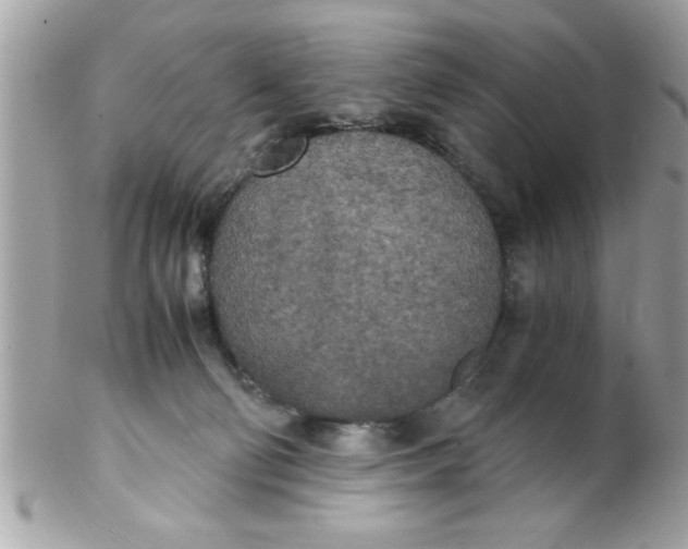 X0000102300130200808152027