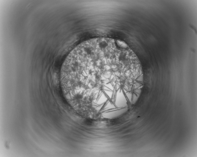 X0000102300131200808152027