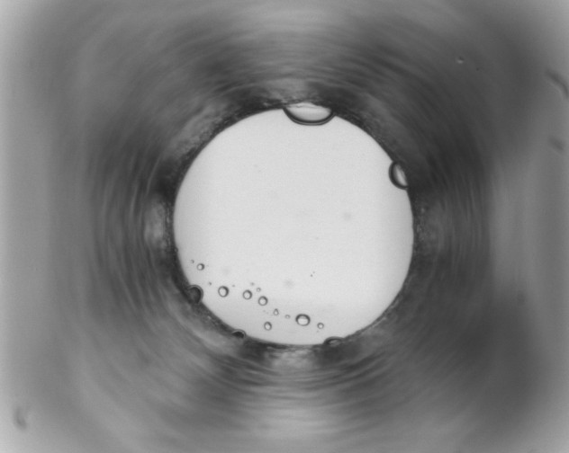 X0000102300132200808152027