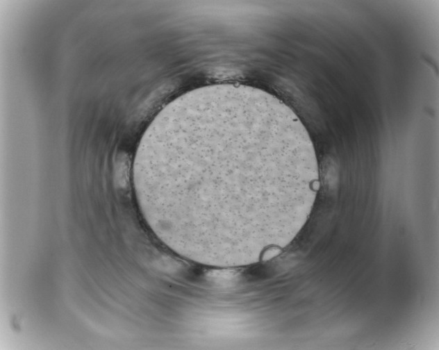 X0000102300133200808152027