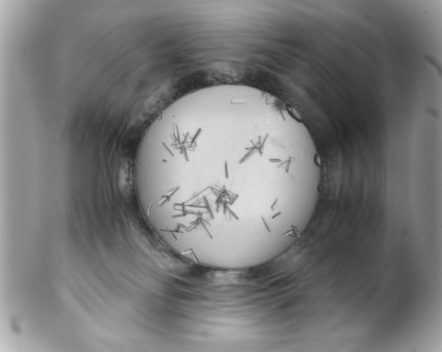 X0000102300134200808152027